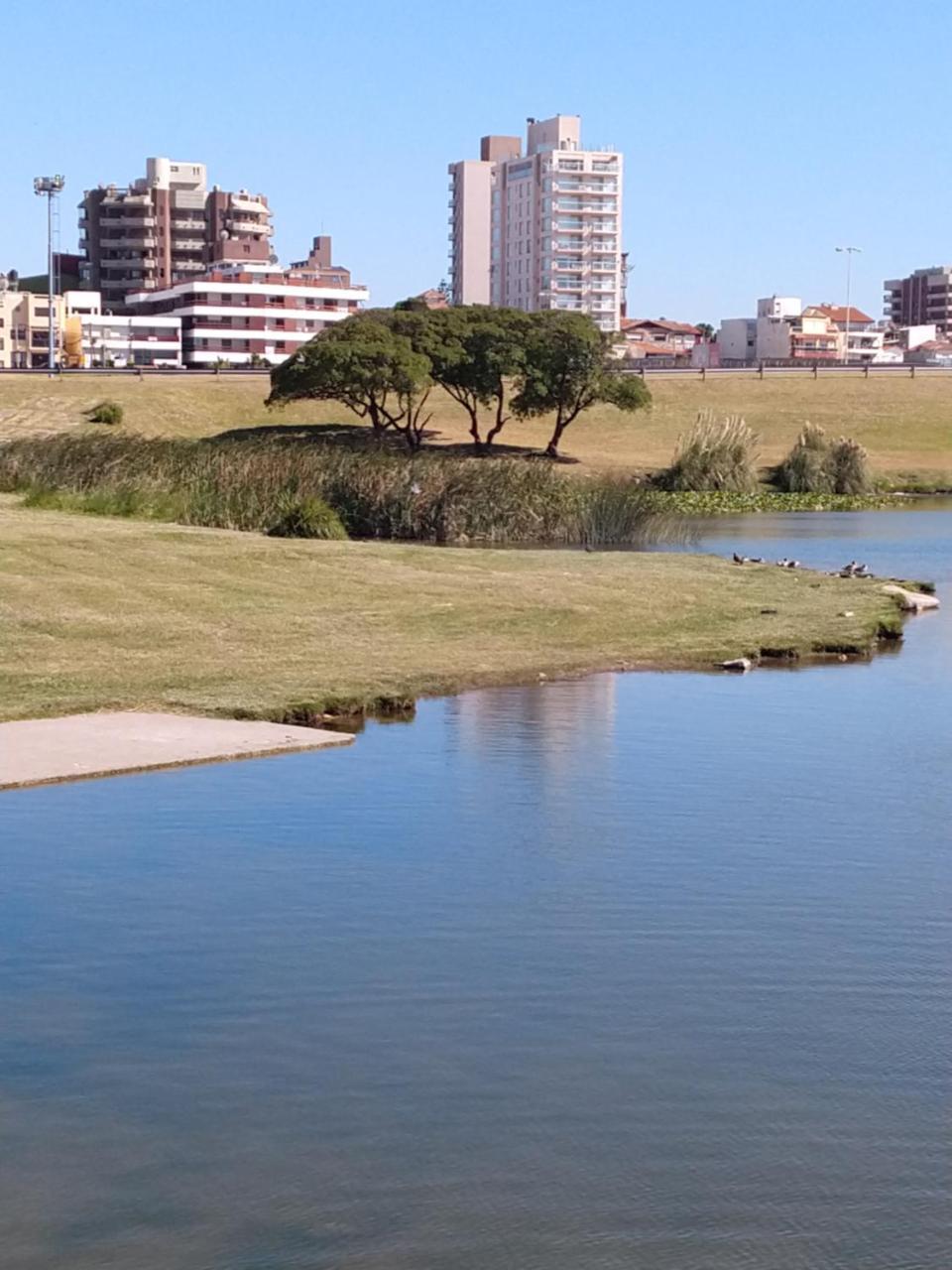 マル・デル・プラタEdificio Juana Del Marアパートメント エクステリア 写真